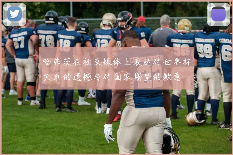 哈弗茨在社交媒体上表达对世界杯失利的遗憾与对国家期望的歉意