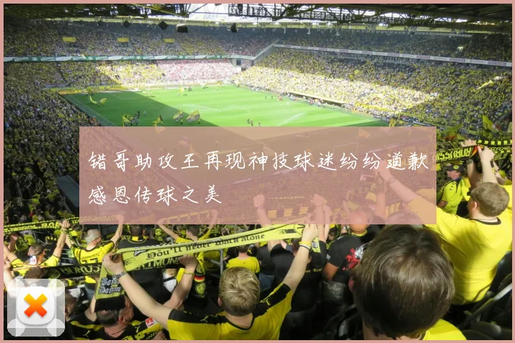 错哥助攻王再现神技球迷纷纷道歉感恩传球之美